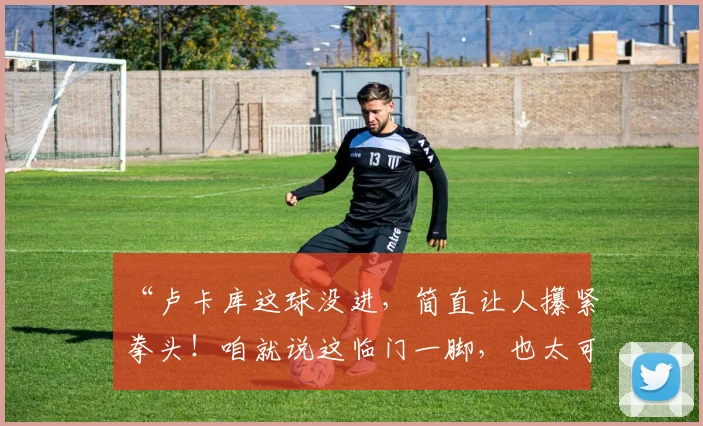“卢卡库这球没进，简直让人攥紧拳头！咱就说这临门一脚，也太可惜了～”